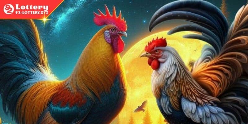 Các bước đơn giản để bắt đầu trải nghiệm