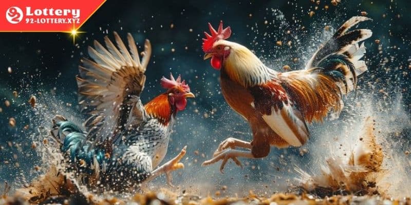 Nắm vững luật chơi để thắng lớn dễ dàng