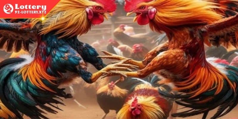 Những quy tắc quan trọng cần phải nắm rõ