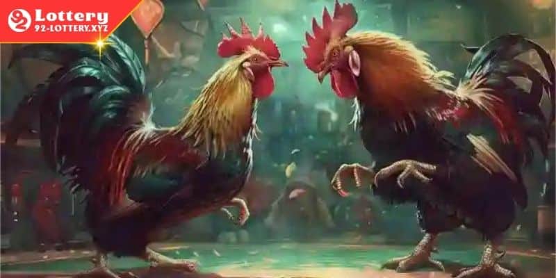 Phân tích kỹ thuật đá gà đỉnh cao